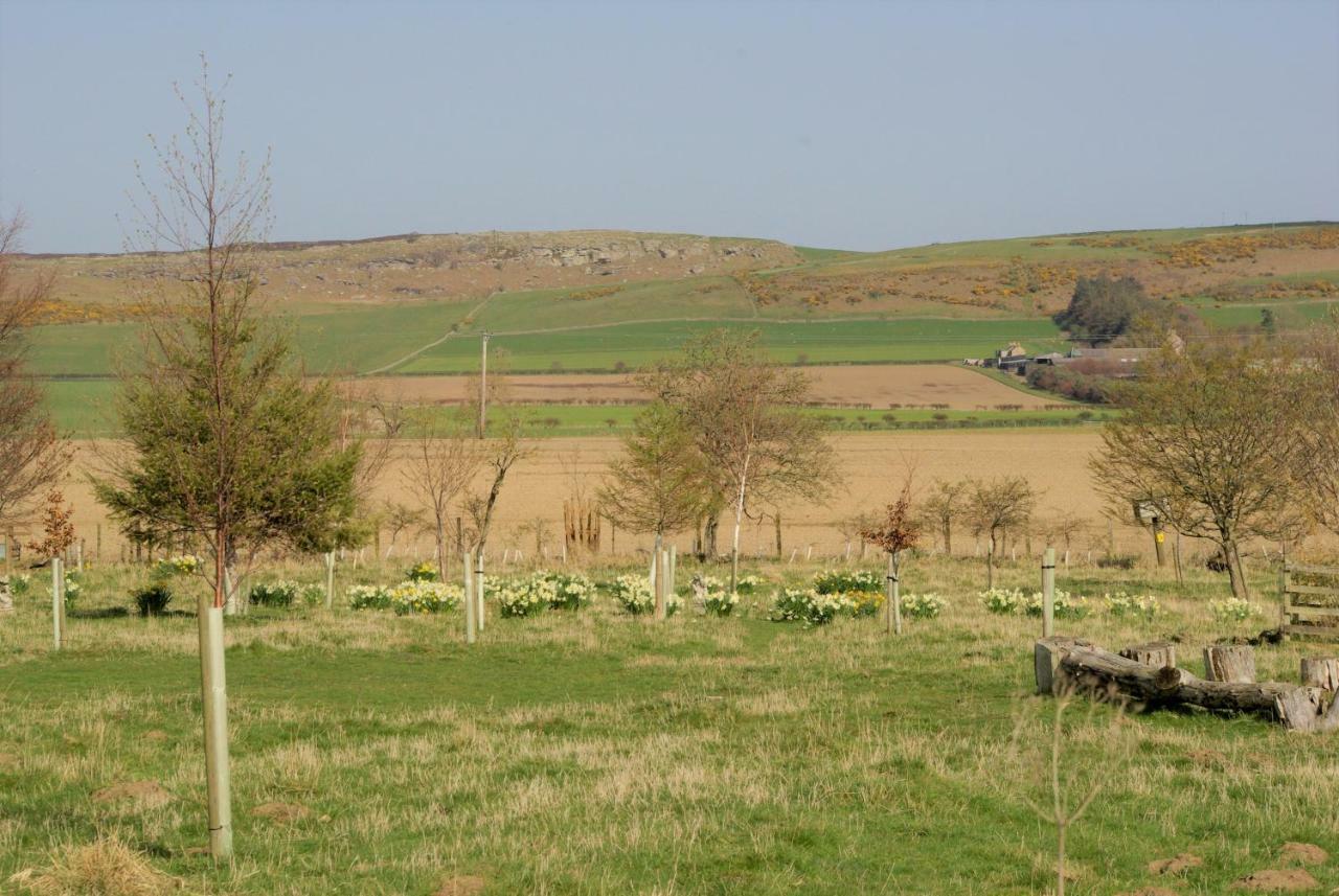 Cuddy'S Croft Villa Chatton Exterior photo